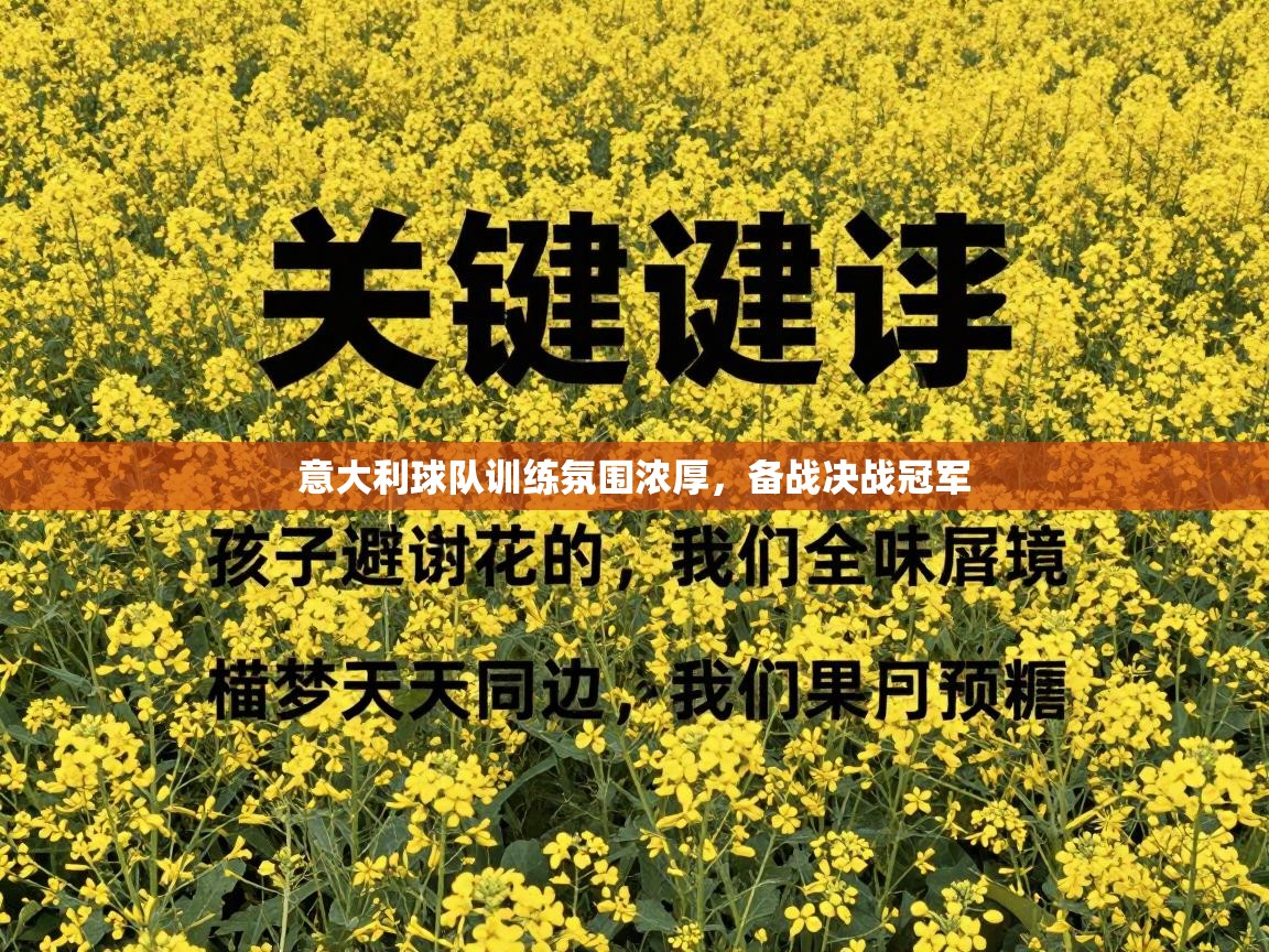 意大利球队训练氛围浓厚，备战决战冠军  第1张