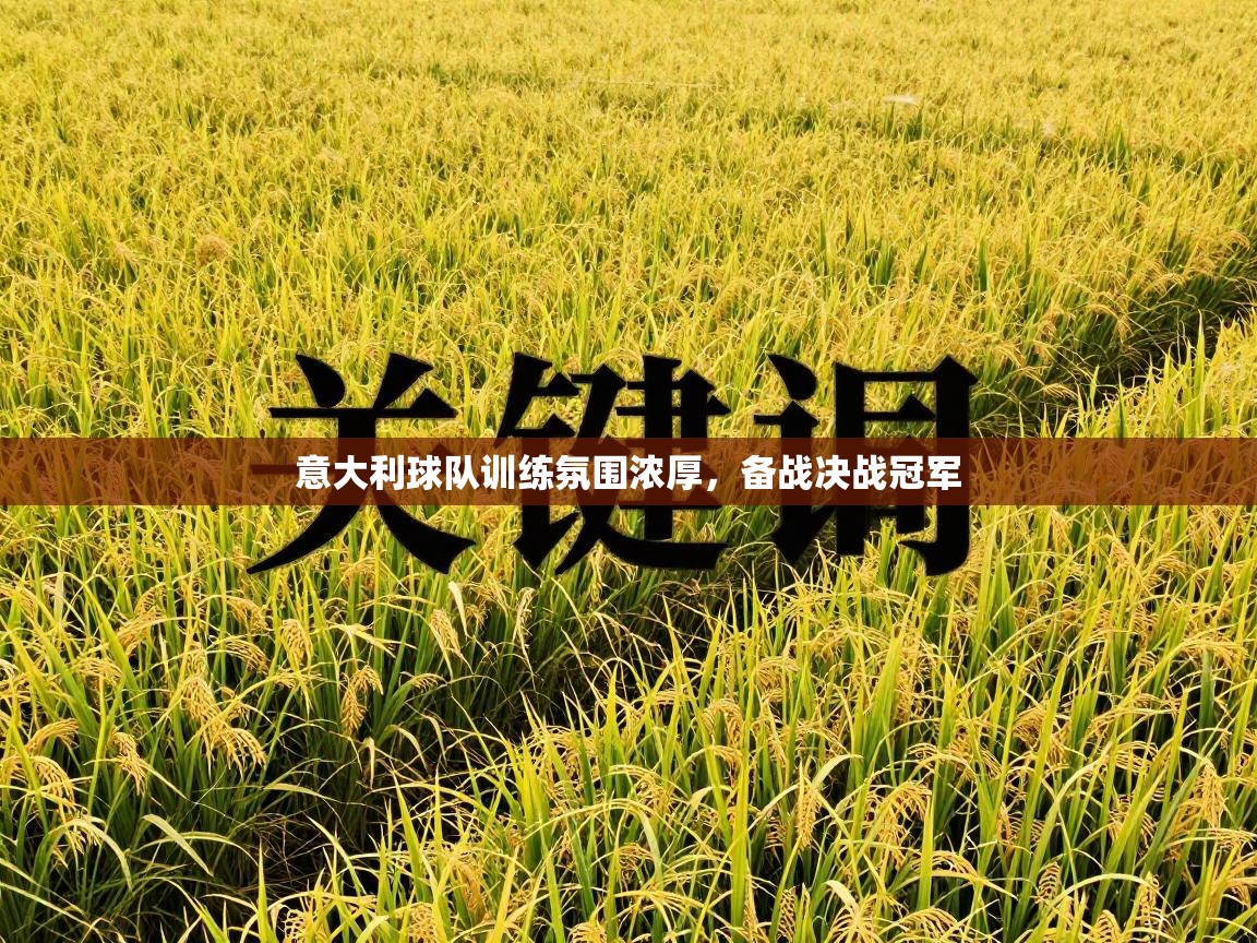 意大利球队训练氛围浓厚，备战决战冠军  第2张